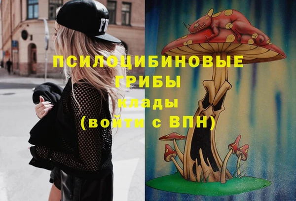 эйфоретик Алексин