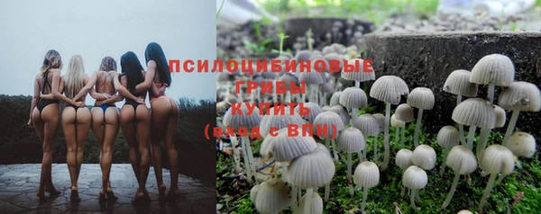 амф Алексеевка