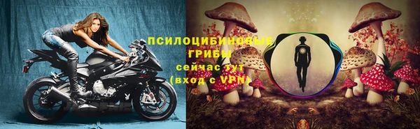 эйфоретик Алексин