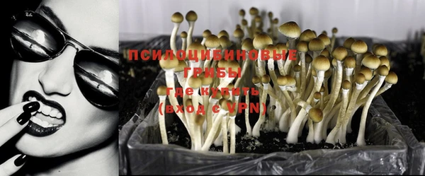 твердый Алзамай
