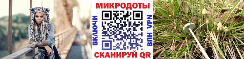 Галлюциногенные грибы GOLDEN TEACHER  где найти наркотики  Бодайбо 